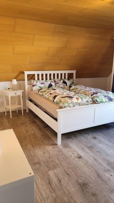 Apartment Schwarzwaldmaedel Friedenweiler Eksteriør bilde