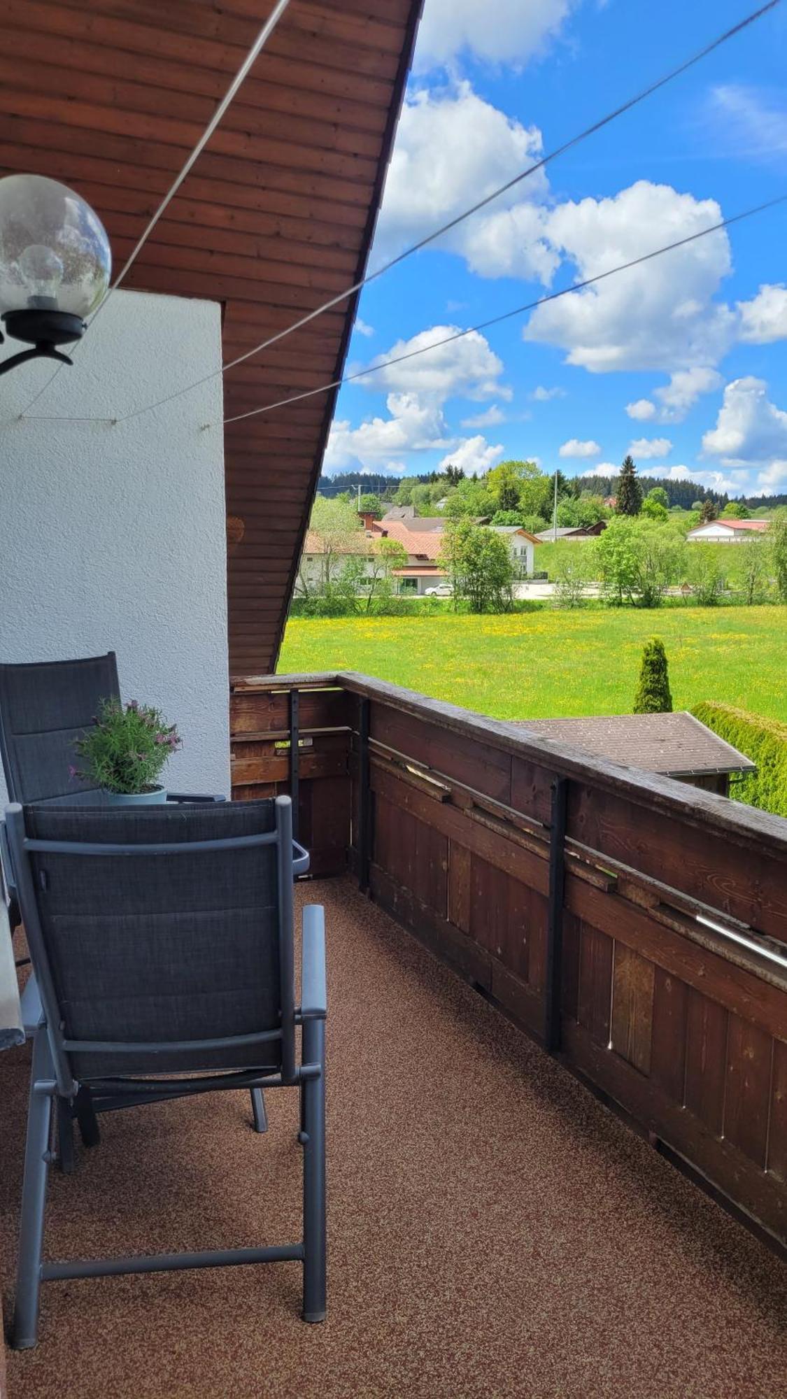 Apartment Schwarzwaldmaedel Friedenweiler Eksteriør bilde